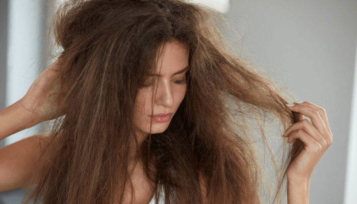 Identifying Hair Damage